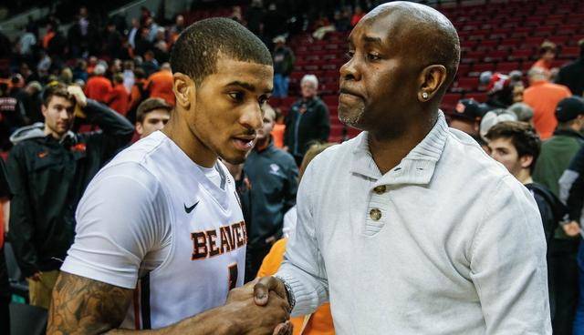 对他们的低 对他们的低